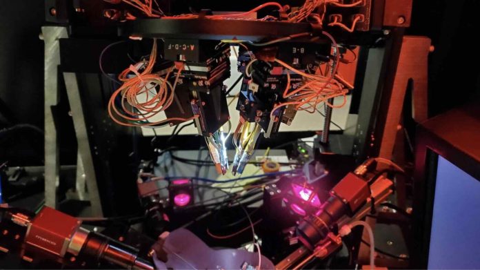 Ученые выяснили, как высшие отделы мозга заставляют нас видеть то, чего нет | New-Science.ru