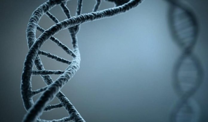 Ученые обнаружили новую «горячую точку» возникновения мутаций в человеческом геноме | New-Science.ru