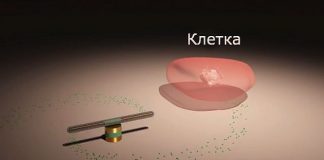 Создан самый маленький и быстрый в мире нанодвигатель Создан самый маленький и быстрый в мире нанодвигатель