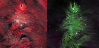 Космическая Новогодняя Ёлка: звёздное скопление в 2700 световых годах от Земли демонстрирует активное звёздообразование | New-Science.ru Космическая Новогодняя Ёлка: звёздное скопление в 2700 световых годах от Земли демонстрирует активное звёздообразование | New-Science.ru