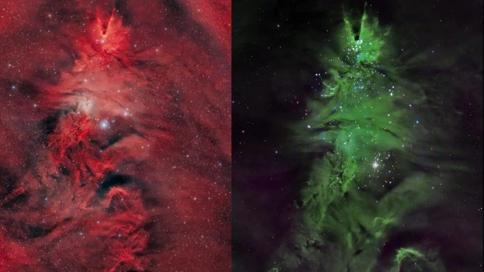 Космическая Новогодняя Ёлка: звёздное скопление в 2700 световых годах от Земли демонстрирует активное звёздообразование | New-Science.ru