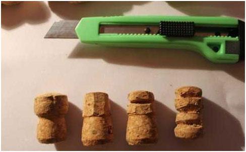 chereshki-budushhej-rozy