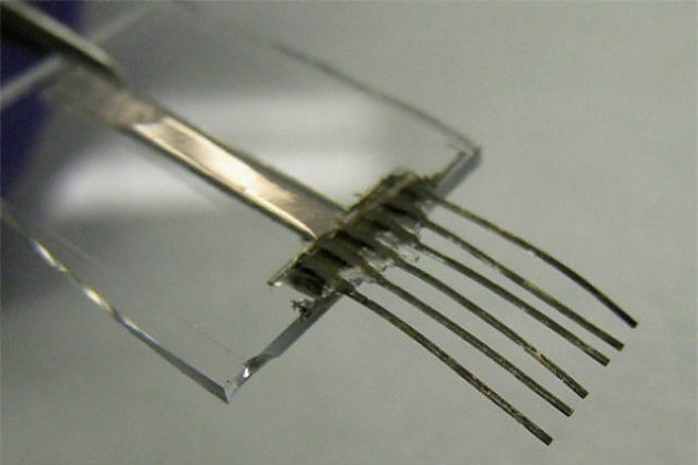 Электронные усы