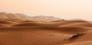 Снижение влажности почвы при засухе стимулирует отбор устойчивых к антибиотикам бактерий, угрожая здоровью людей | New-Science.ru Снижение влажности почвы при засухе стимулирует отбор устойчивых к антибиотикам бактерий, угрожая здоровью людей | New-Science.ru
