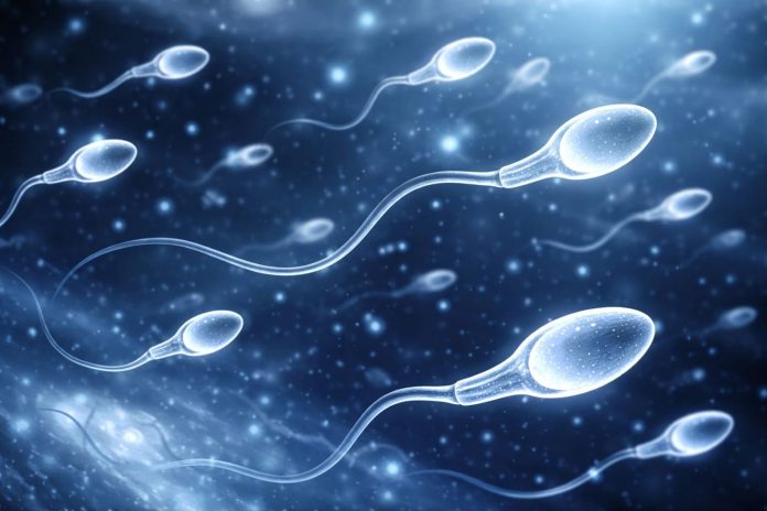 Австралийские ученые выяснили, как микрогравитация влияет на способность сперматозоидов к оплодотворению | New-Science.ru