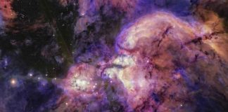 Телескоп Джеймс Уэбб впервые показал скрытых космических обитателей некогда невидимого региона W51 | New-Science.ru Телескоп Джеймс Уэбб впервые показал скрытых космических обитателей некогда невидимого региона W51 | New-Science.ru