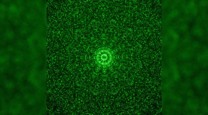 Мини-вихри света могут переносить огромные объемы данных | New-Science.ru