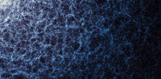 Астрономы получили самую обширную трехмерную карту Вселенной для изучения темной энергии | New-Science.ru Астрономы получили самую обширную трехмерную карту Вселенной для изучения темной энергии | New-Science.ru