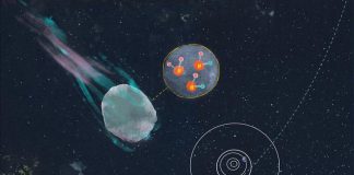 Содержание воды в межзвёздной комете 3I/ATLAS указало на необычайно холодные условия её рождения | New-Science.ru Содержание воды в межзвёздной комете 3I/ATLAS указало на необычайно холодные условия её рождения | New-Science.ru
