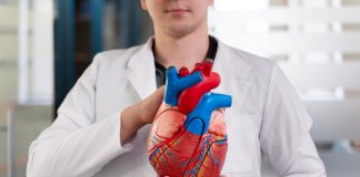 Ученые впервые доказали, что человеческое сердце способно восстанавливать клетки после инфаркта | New-Science.ru Ученые впервые доказали, что человеческое сердце способно восстанавливать клетки после инфаркта | New-Science.ru