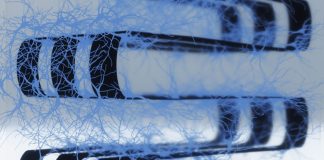 Учёные объединили 70 000 живых нейронов с электроникой в гибридном мозговом чипе | New-Science.ru Учёные объединили 70 000 живых нейронов с электроникой в гибридном мозговом чипе | New-Science.ru