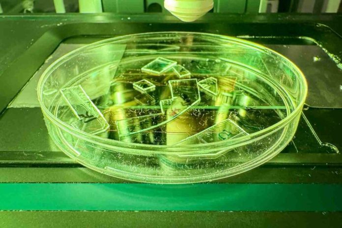 Австралийские исследователи разработали нанотекстурный пластик, разрывающий вирусы за час без химии | New-Science.ru