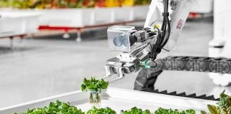 Заработала первая ферма с роботами вместо людей Заработала первая ферма с роботами вместо людей