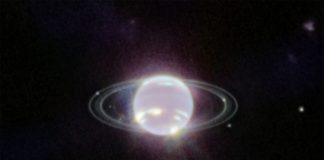 Телескоп James Webb обнаружил загадочные минералы на малых спутниках Нептуна | New-Science.ru Телескоп James Webb обнаружил загадочные минералы на малых спутниках Нептуна | New-Science.ru