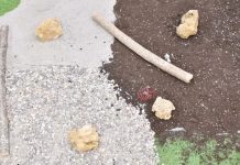 Робот BeanBot может перемещаться без двигателей, подобно мексиканским прыгающим бобам Робот BeanBot может перемещаться без двигателей, подобно мексиканским прыгающим бобам